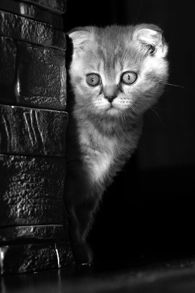 Photograph by Максим Трухин