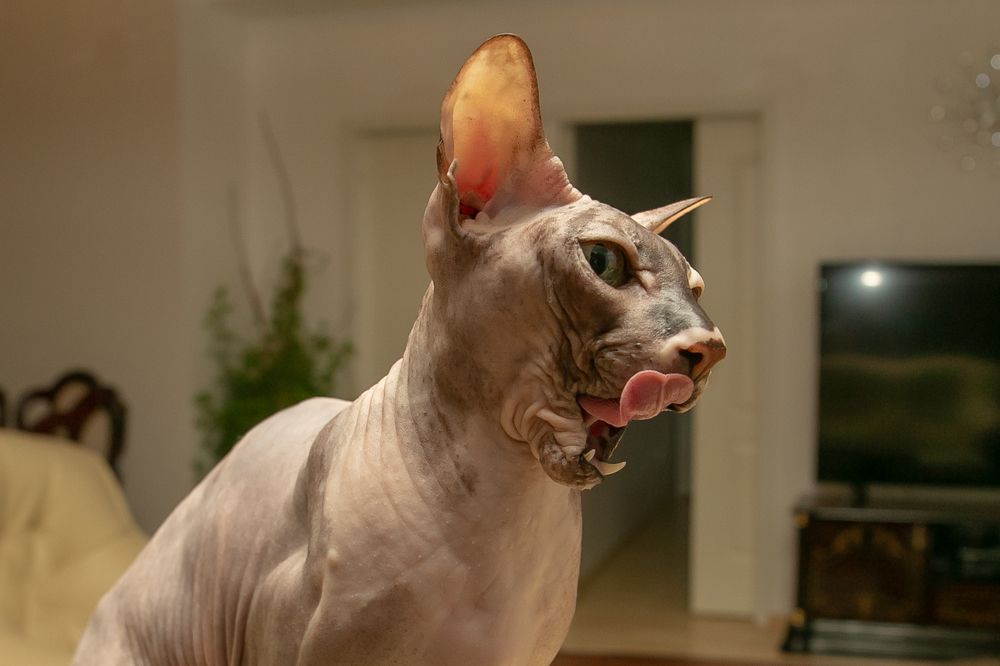 Photograph by Наталья Катюжанская