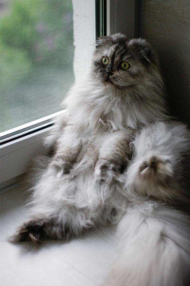 Photograph by Карина Заводчикова