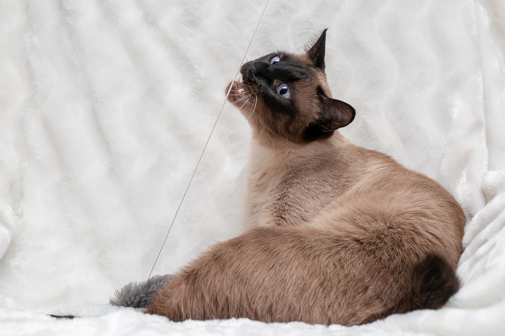 Photograph by Наталья Катюжанская