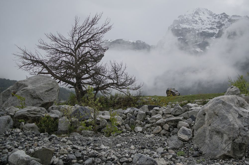 Фотография автора Ирина Шипунова