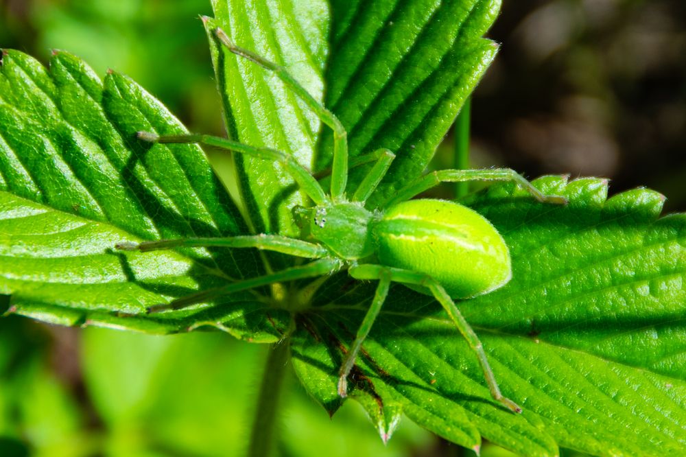 Photograph by Владимир Рогулькин