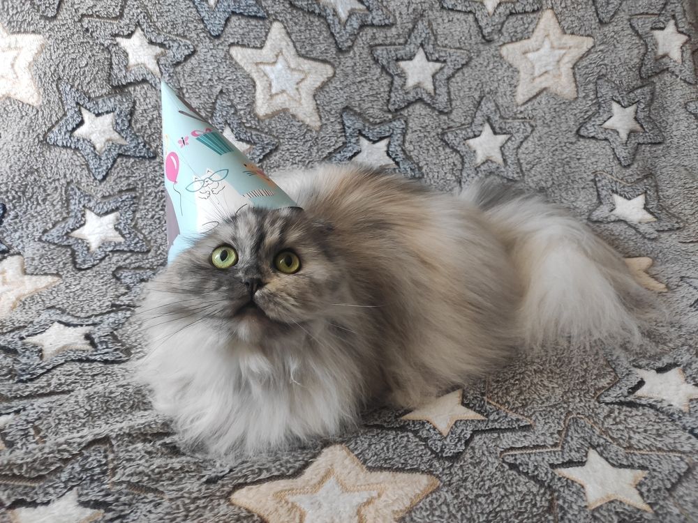 Photograph by Карина Заводчикова