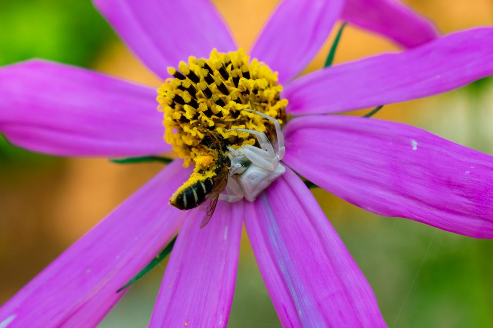 Photograph by Владимир Рогулькин