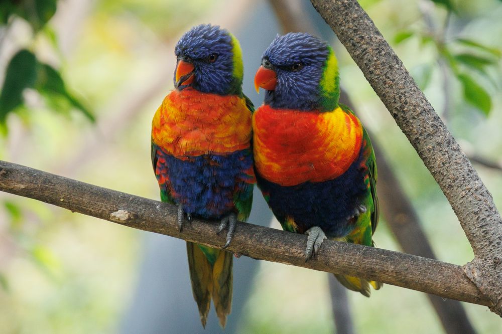 Photograph by Maxim Lip