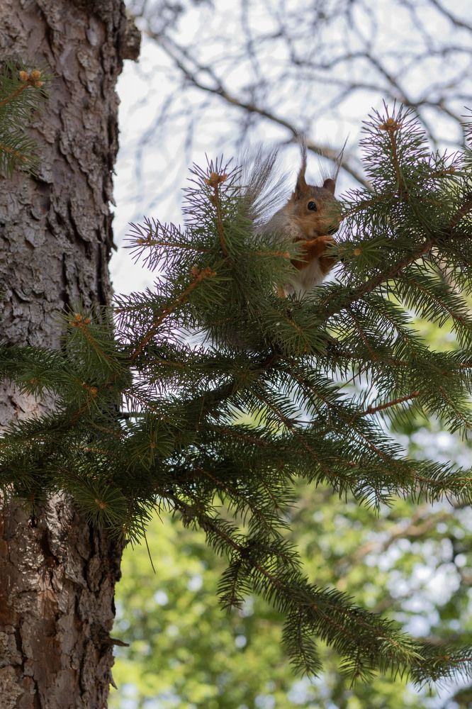 Photograph by Ксения Золотарь