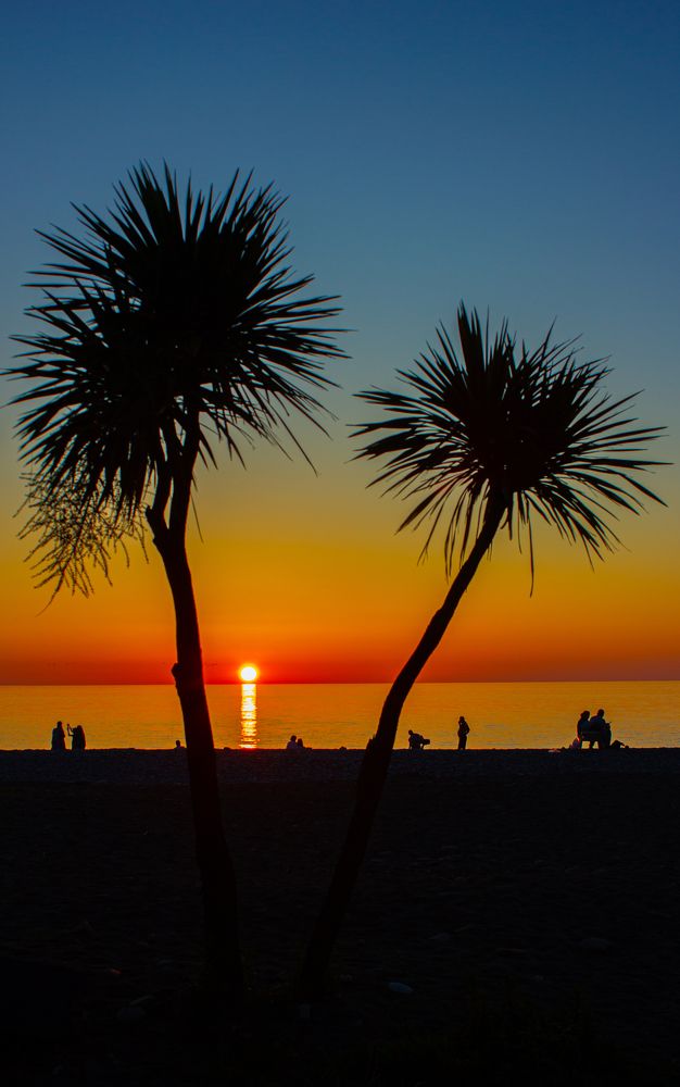 Photograph by Ekaterina Narozhnova