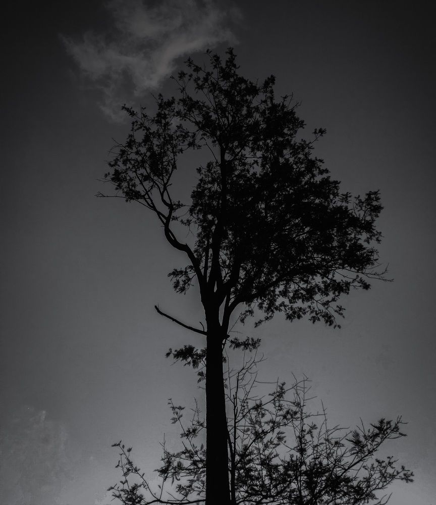 Photograph by lahiru sandaruwan