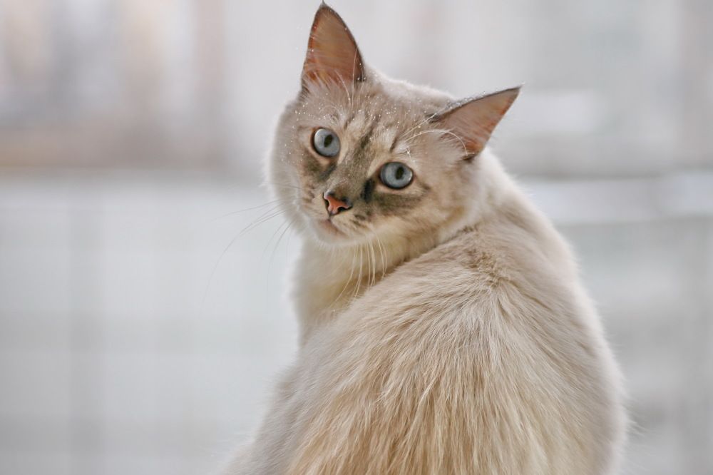 Photograph by Александр Гришин