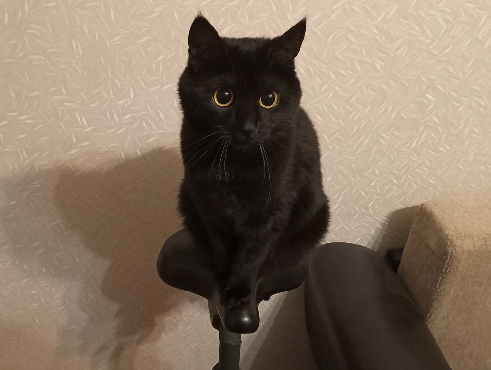 Photograph by Александр Гришин