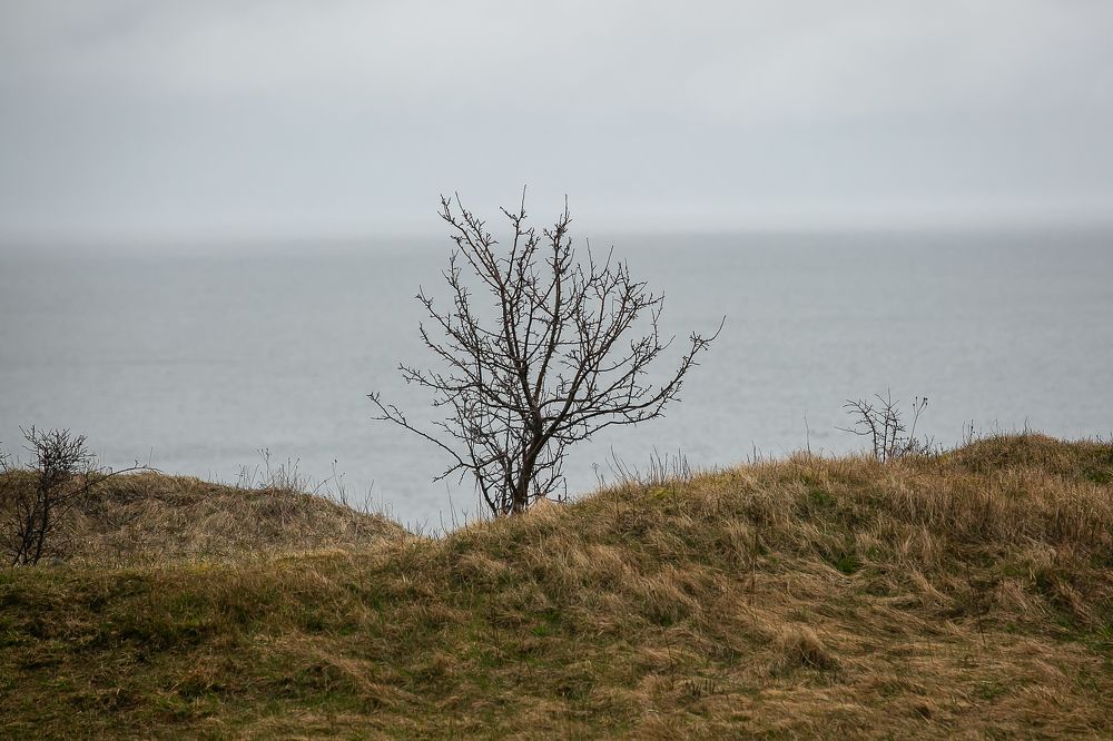 Photograph by Наталья Катюжанская