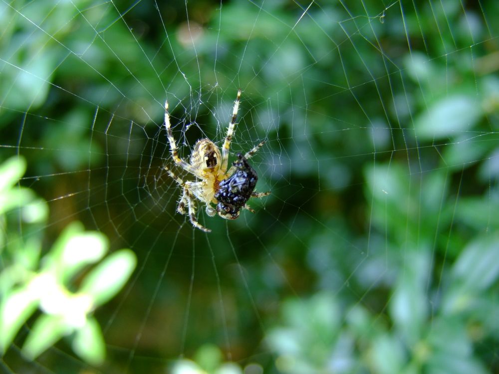 Photograph by Cengiz Yalcin