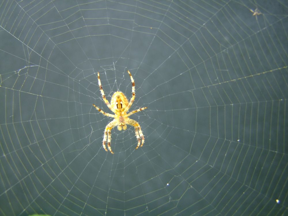 Photograph by Cengiz Yalcin