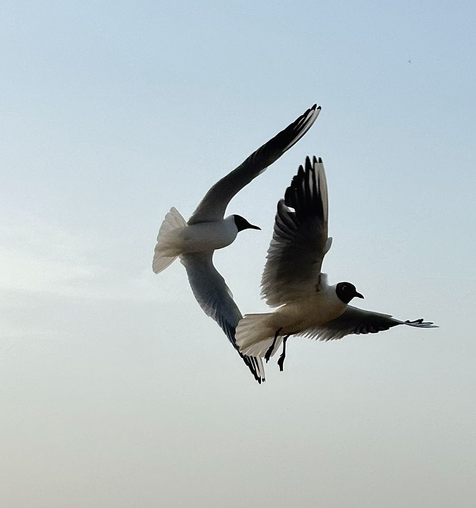 Photograph by Гуляева Светлана