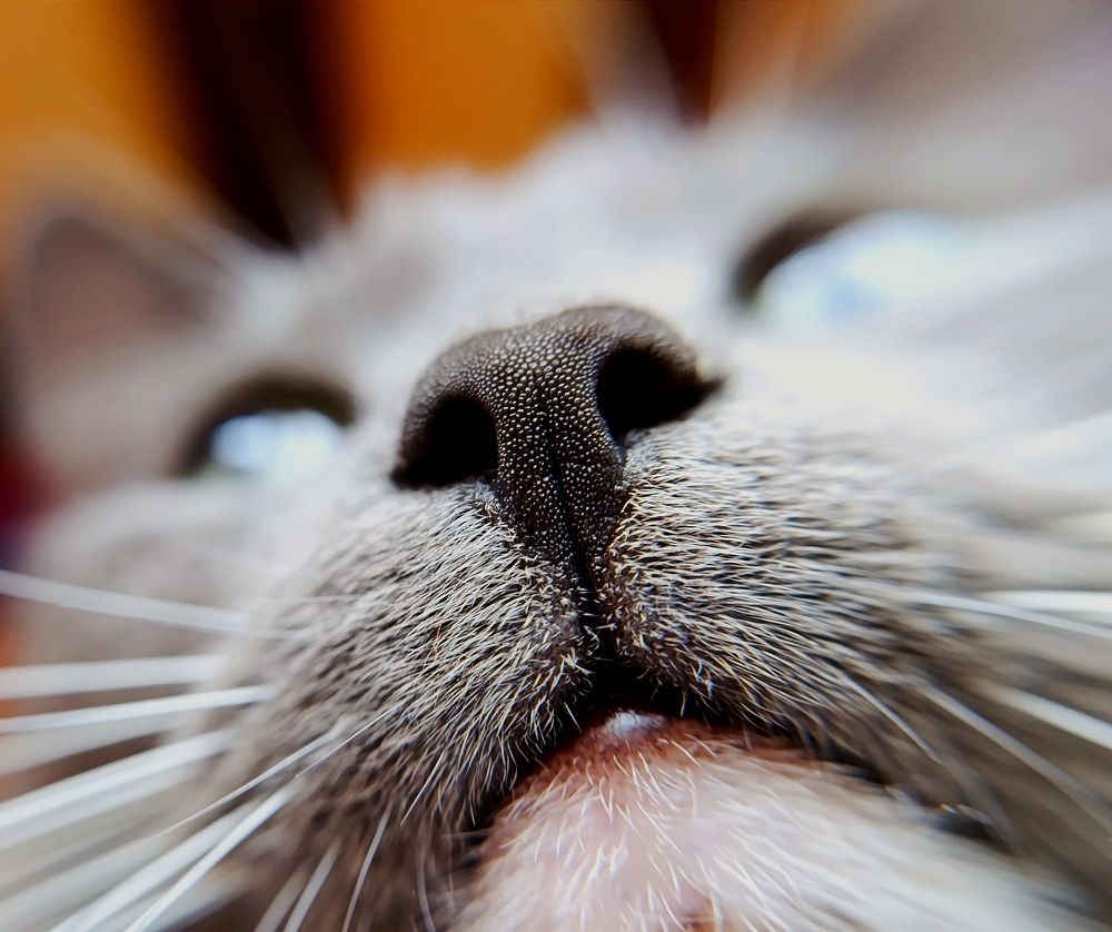 Photograph by Светлана Таркан