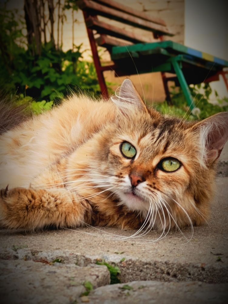 Photograph by Светлана Таркан