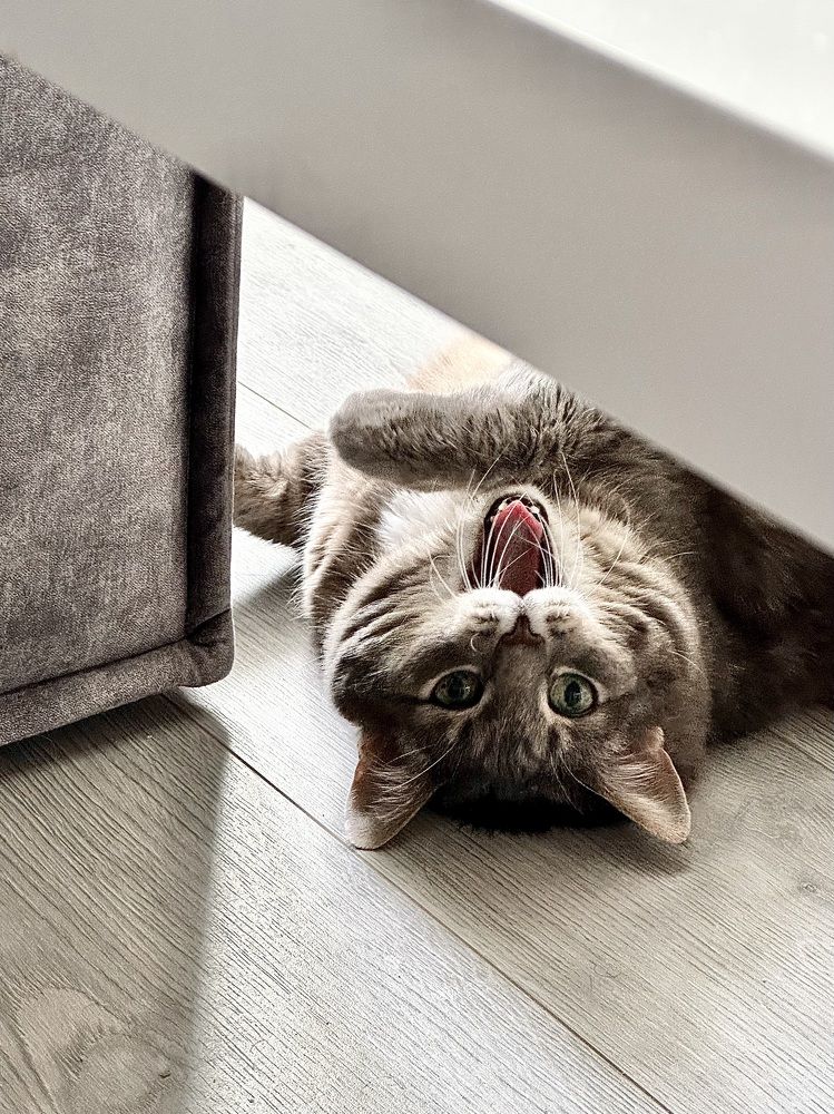 Photograph by Гуляева Светлана