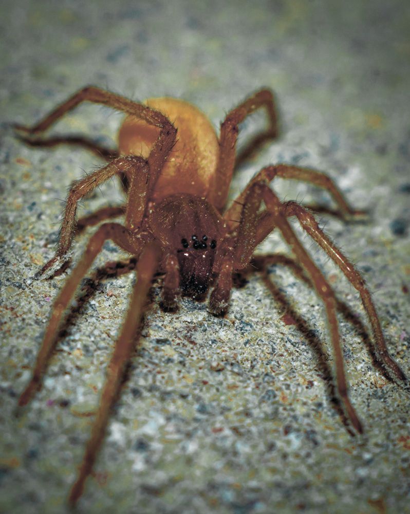 Photograph by Вячеслав Смеликов