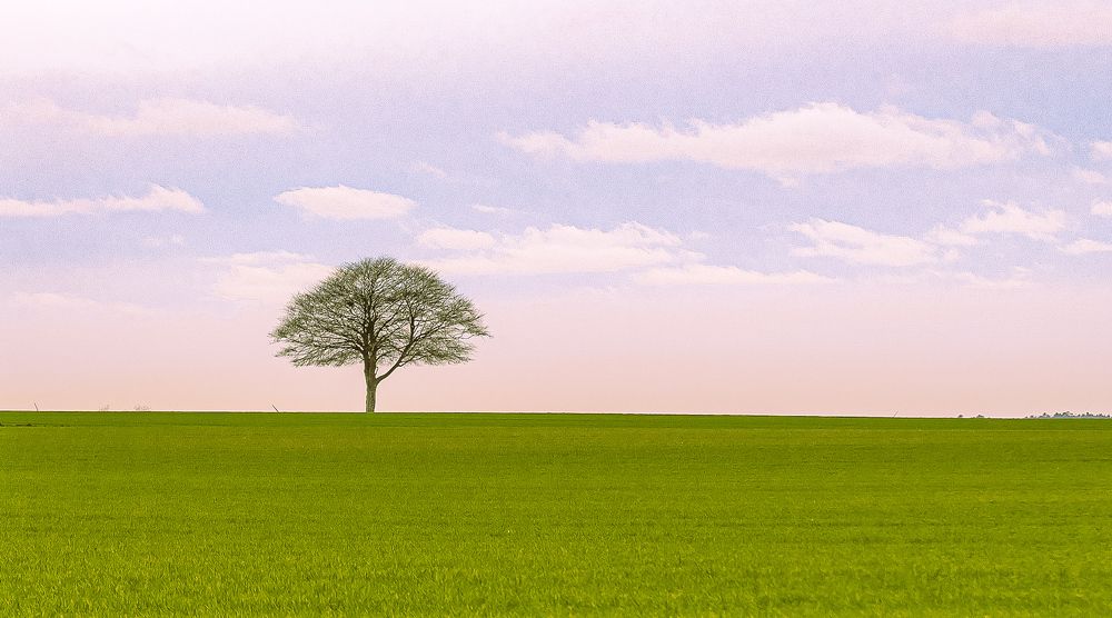 Фотография автора Alyona Madsen