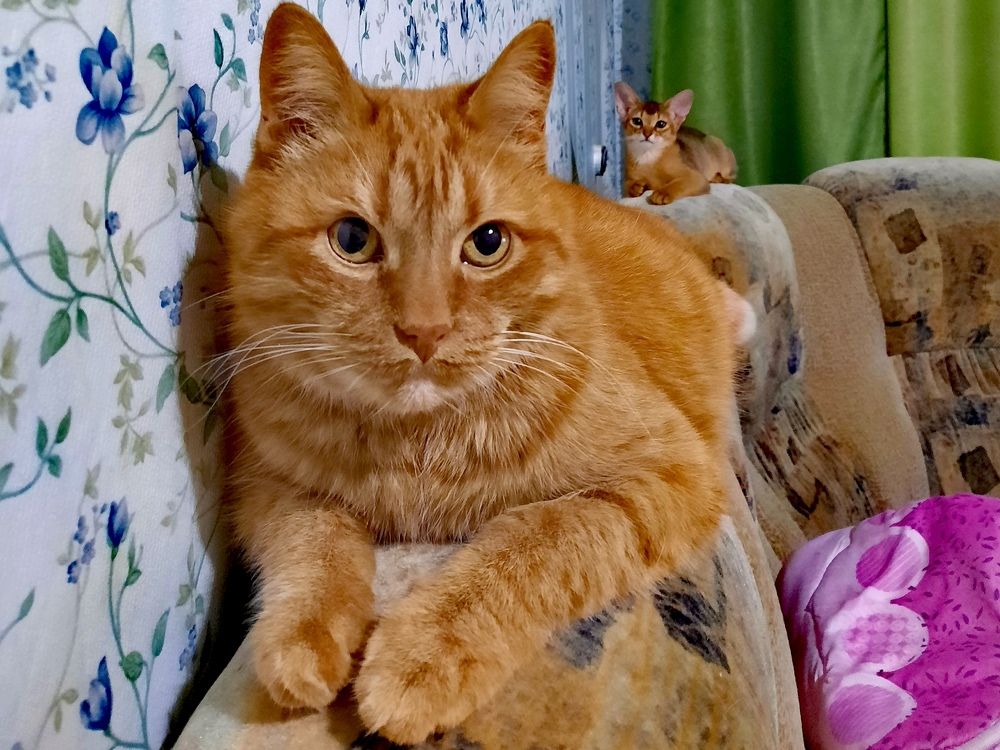 Photograph by OLGA MIKHNEVICH