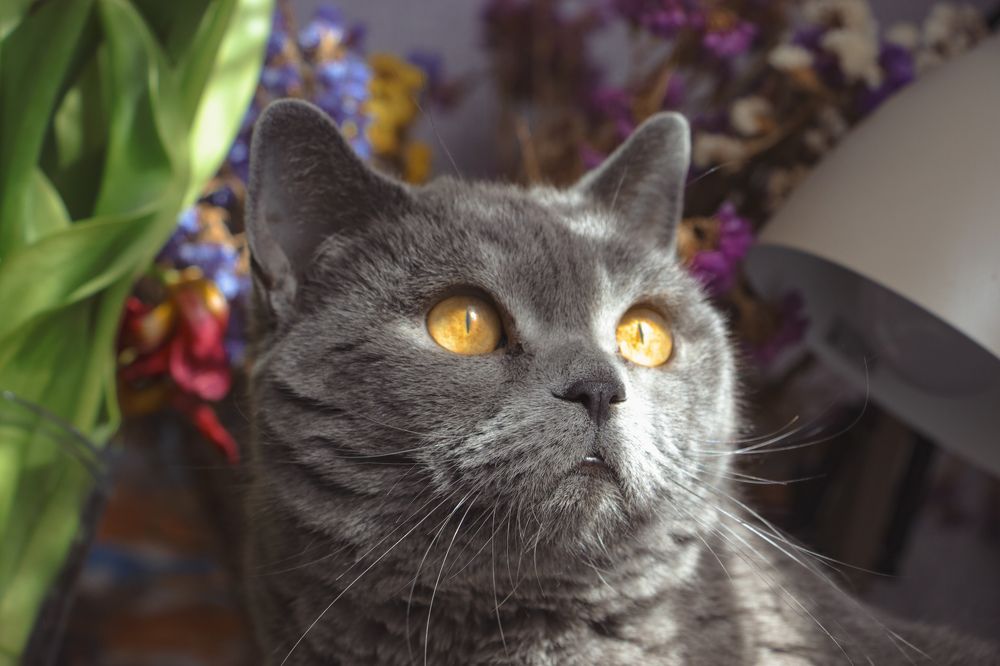 Photograph by Христина Сергейчик