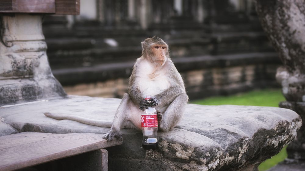 Photograph by Hany Salem