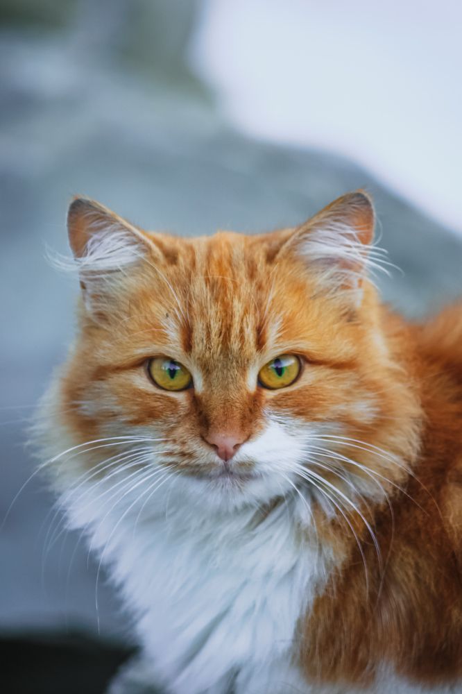 Photograph by Христина Сергейчик