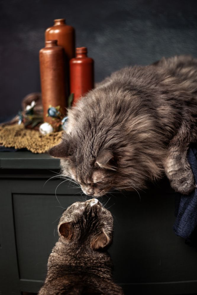 Photograph by Gertrude Goené