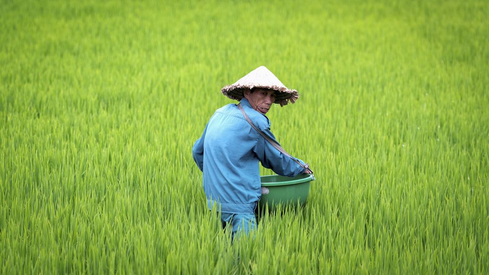 Photograph by Hany Salem