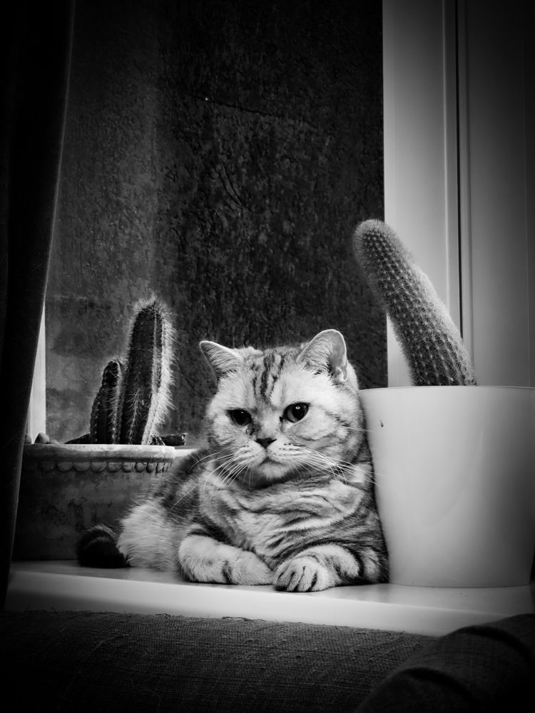 Photograph by Елена Ефимова