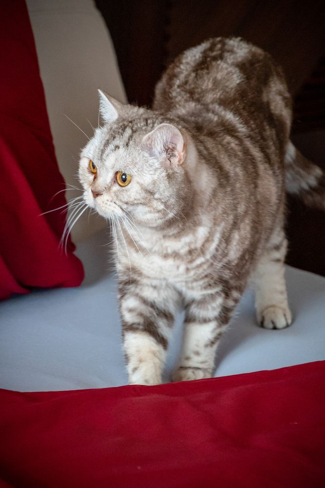 Photograph by Елена Ефимова