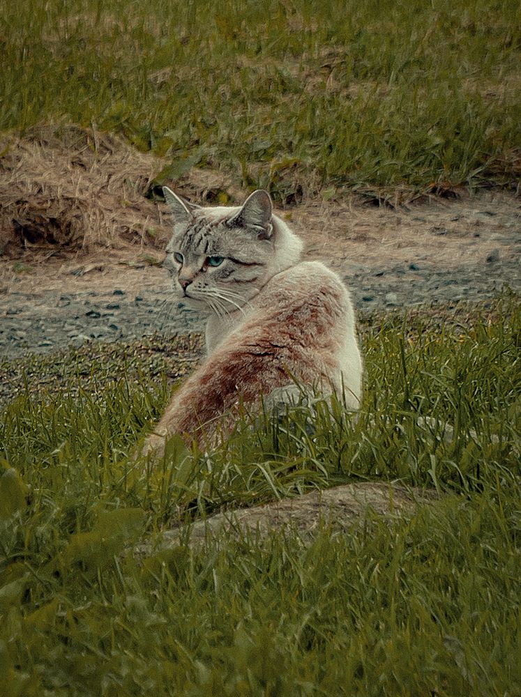 Photograph by Елена Ефимова