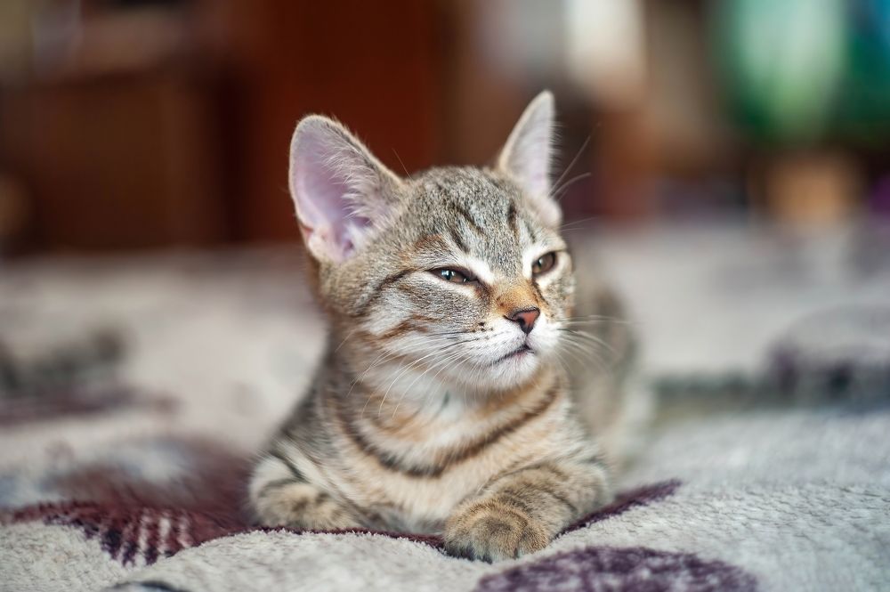 Photograph by Вадим Басов