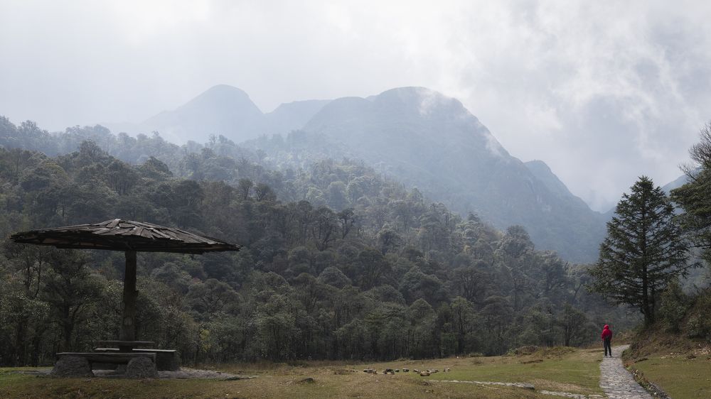 Photograph by Hany Salem