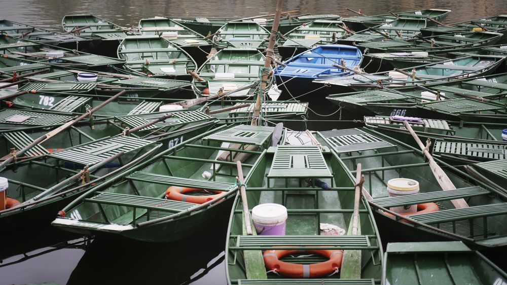 Photograph by Hany Salem