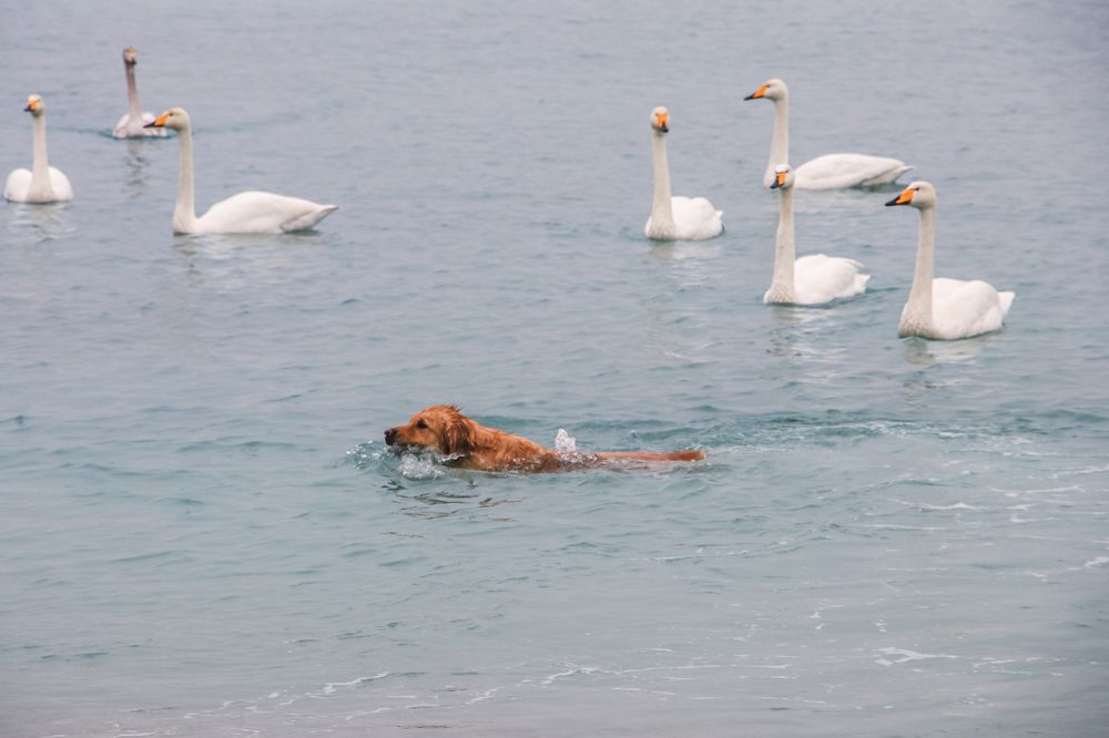 Photograph by Христина Сергейчик