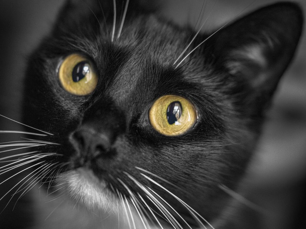 Photograph by Aleksandr Belov