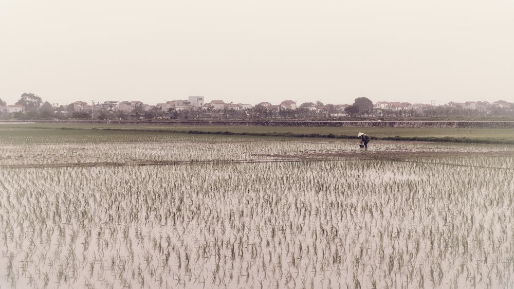 Photograph by Hany Salem