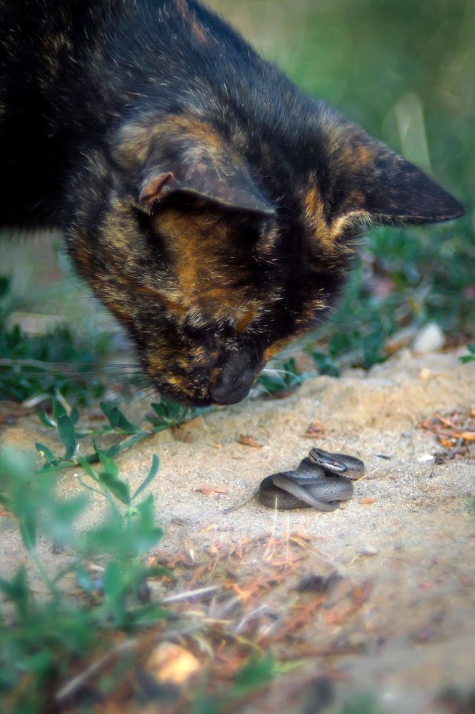 Photograph by Анастасия