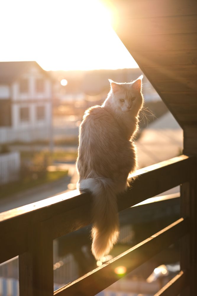 Photograph by Evgeniya Biriukova