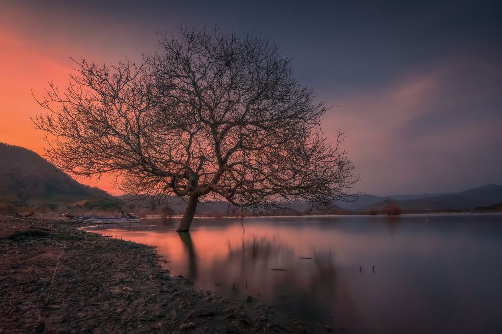 Photograph by Trieu Nguyen