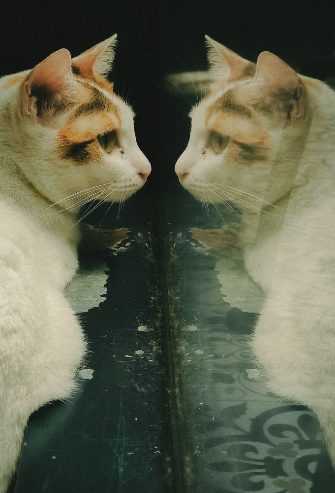 Photograph by Trung Tài Phan