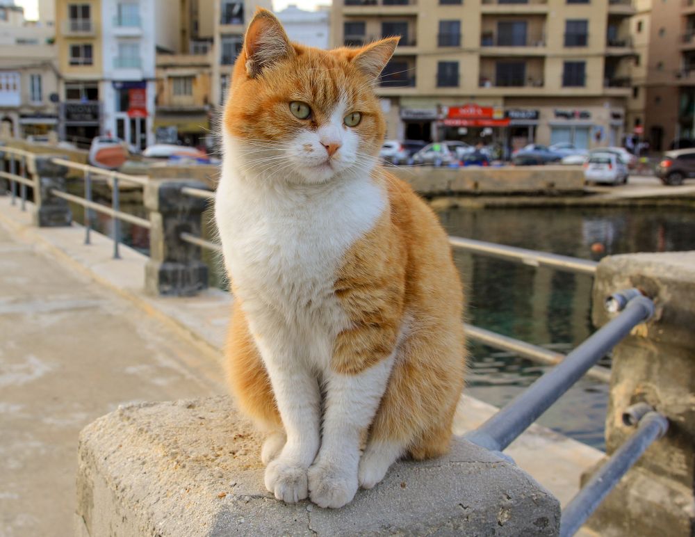 Photograph by Сергей Иванов