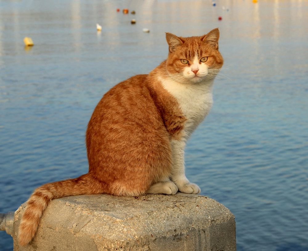 Photograph by Сергей Иванов