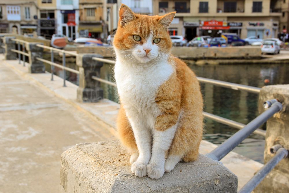 Photograph by Сергей Иванов