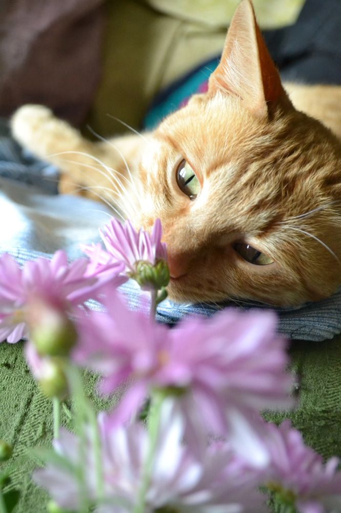 Photograph by Ксения Климова