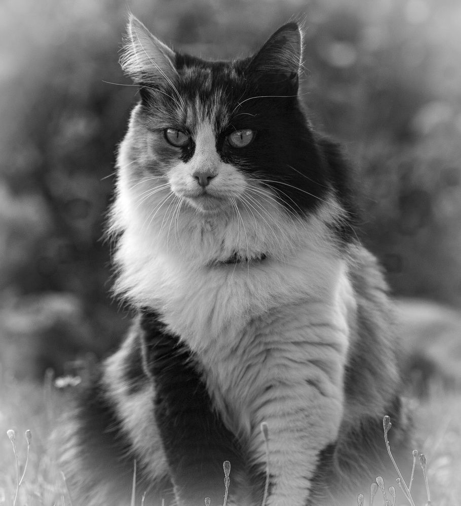 Photograph by Сергей Басов
