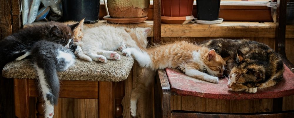 Photograph by Сергей Басов