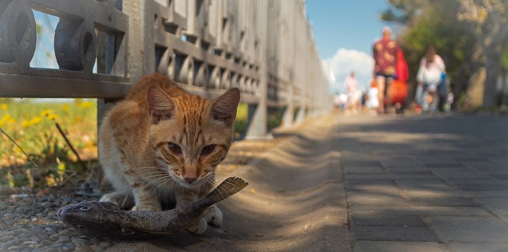 Photograph by Сергей Басов