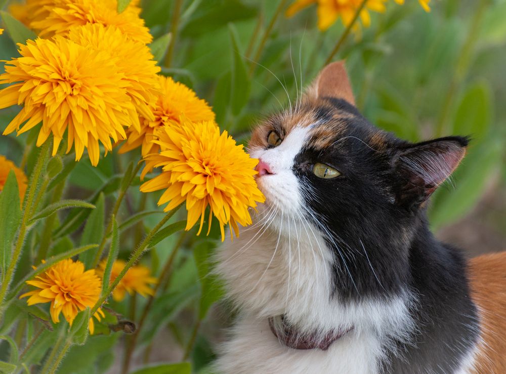 Photograph by Сергей Басов